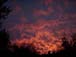 pic016a